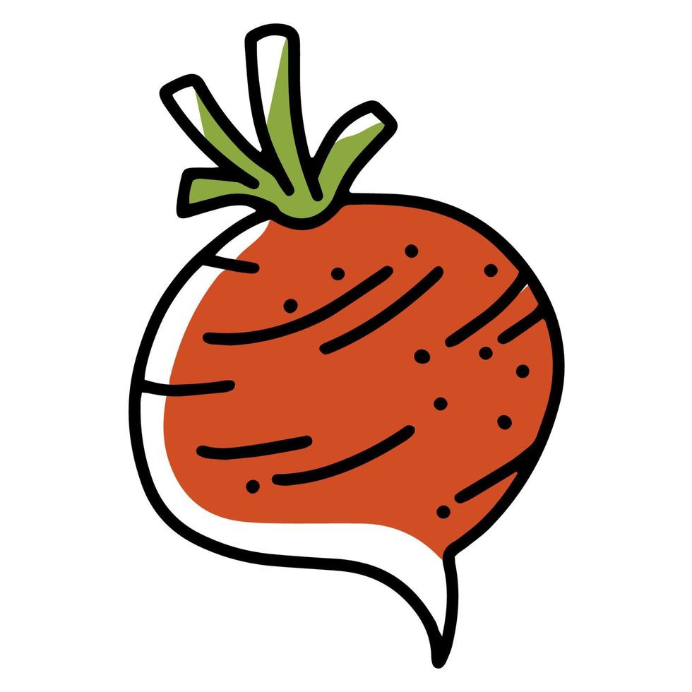 colheita de vegetais de outono de nabos ou beterrabas, ícone de vetor em estilo doodle