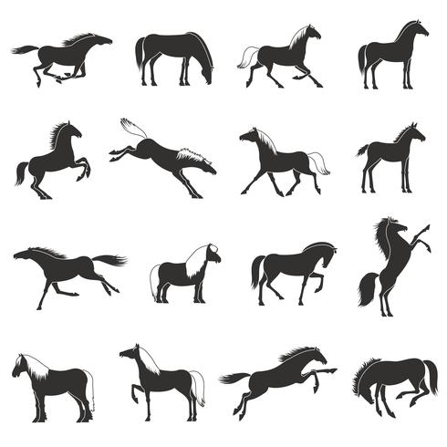 Conjunto de ícones pretos de Silhoettes de raças de cavalo vetor