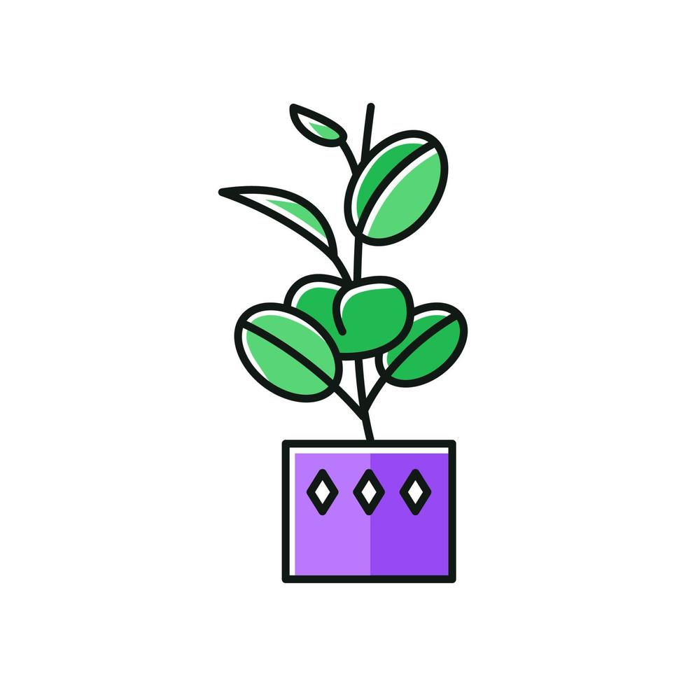 ícone de cor rgb de ficus elastica. borracha fig. árvore indiana. planta de interior em vaso com folhas ovais. planta de casa frondosa decorativa. casa, decoração de escritório. ilustração vetorial isolada vetor
