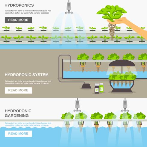 Ilustração do sistema hidropônico vetor