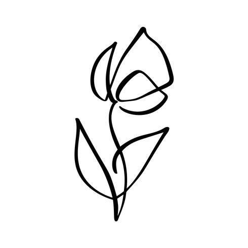 Logotipo da flor tulipa. Mão de linha contínua desenho conceito de vetor caligráfico. Elemento de design floral escandinavo Primavera no estilo minimalista. Preto e branco