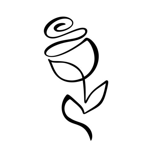 Conceito de flor rosa. Mão de linha contínua, desenho de logotipo de vetor caligráfico. Elemento de design floral escandinavo Primavera no estilo minimalista. Preto e branco