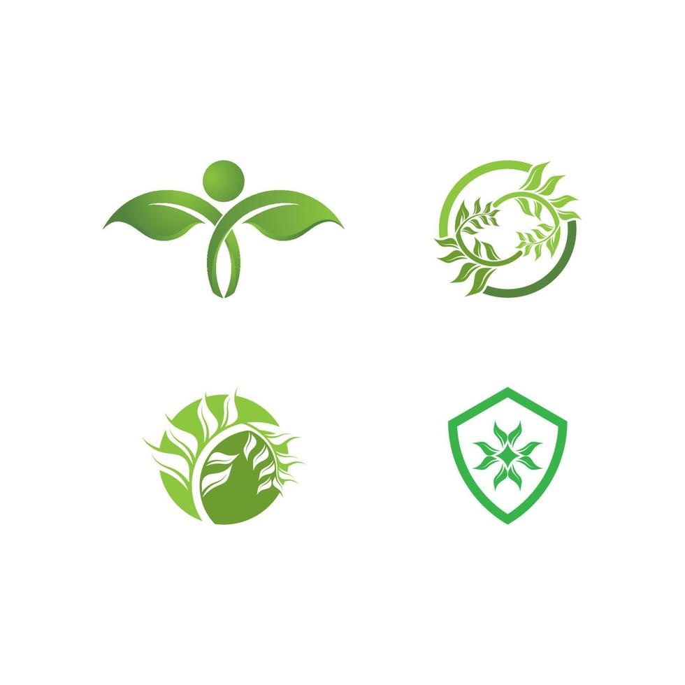 logotipos da ecologia de folhas verdes vetor