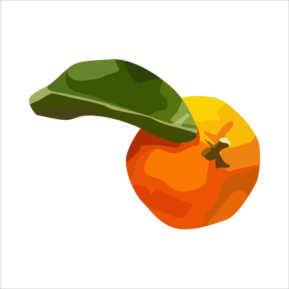 laranja do vetor. para cartões de convite de sobremesas de menu de restaurante de design vetor