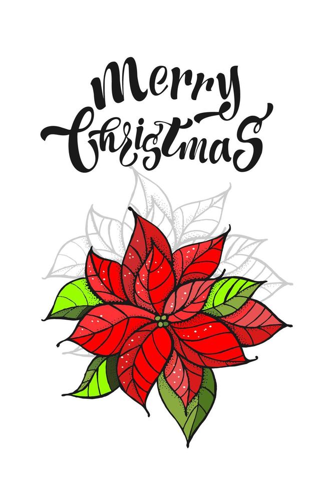 Feliz Natal mão desenhada cartão. Isolado em um fundo branco. a flor  poinsétia, um símbolo do natal. 4857123 Vetor no Vecteezy