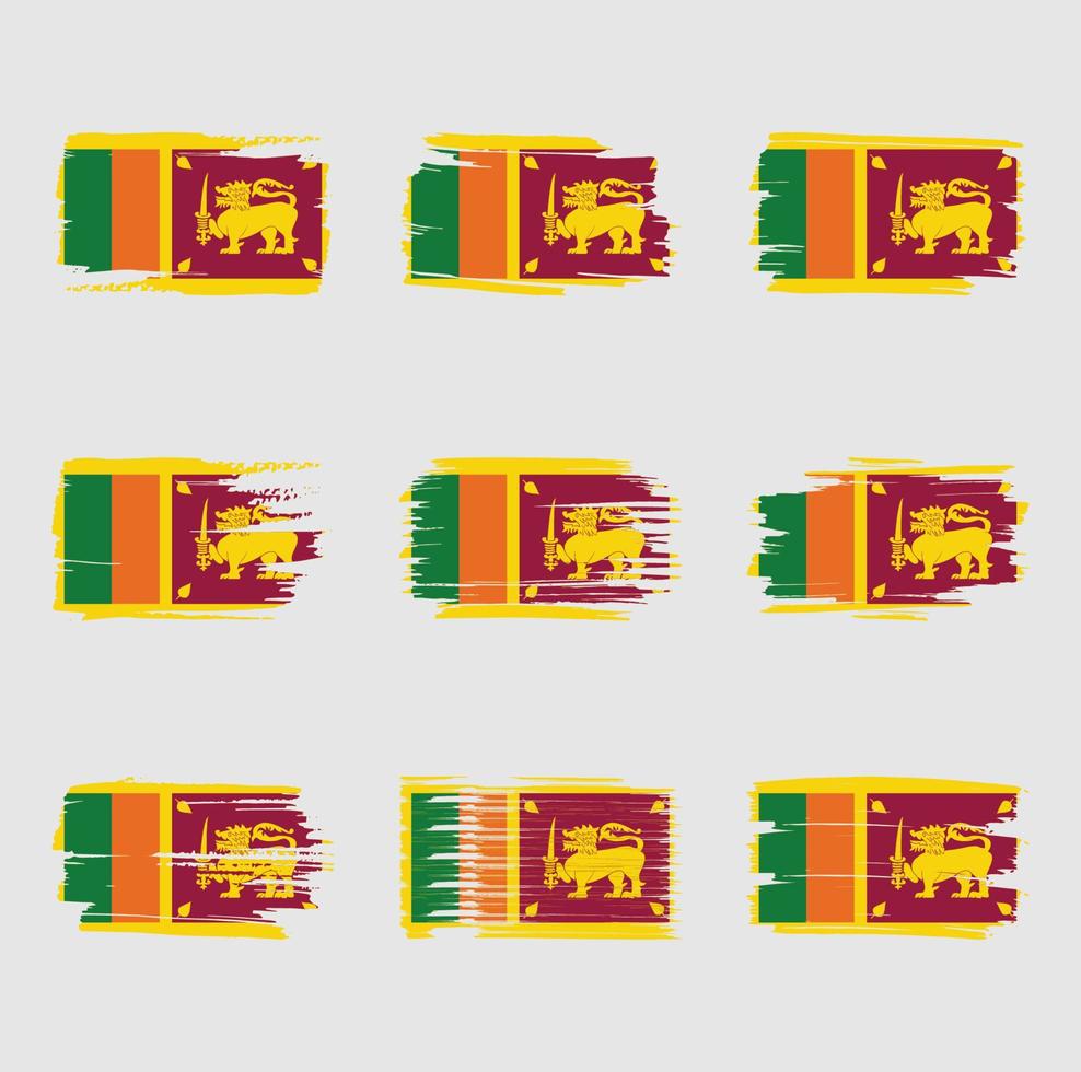 Traçados de pincel da bandeira sri lanka pintados vetor