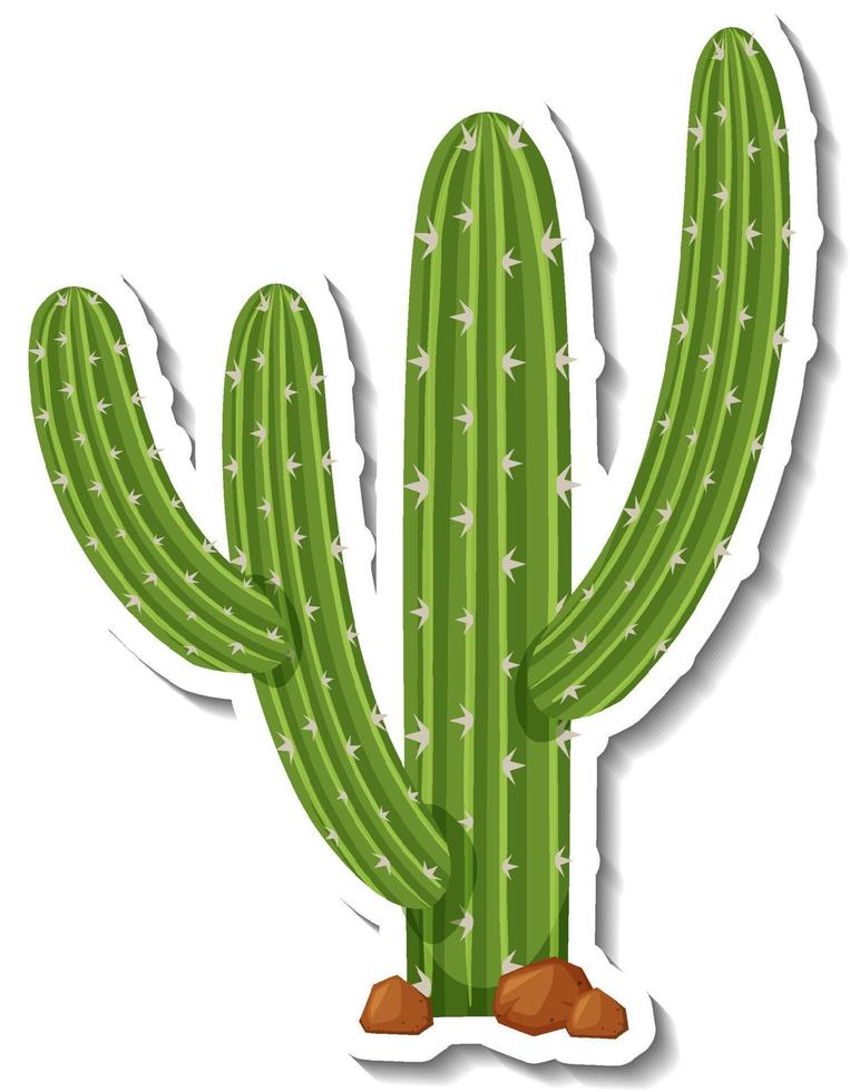 planta cacto saguaro em fundo branco vetor