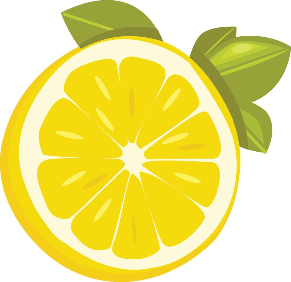 vetor de frutas fatiadas de limão
