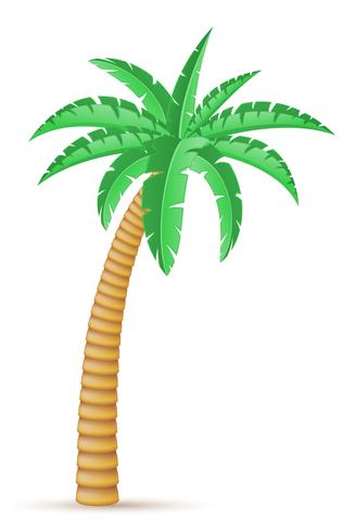 ilustração em vetor palmeira árvore tropical