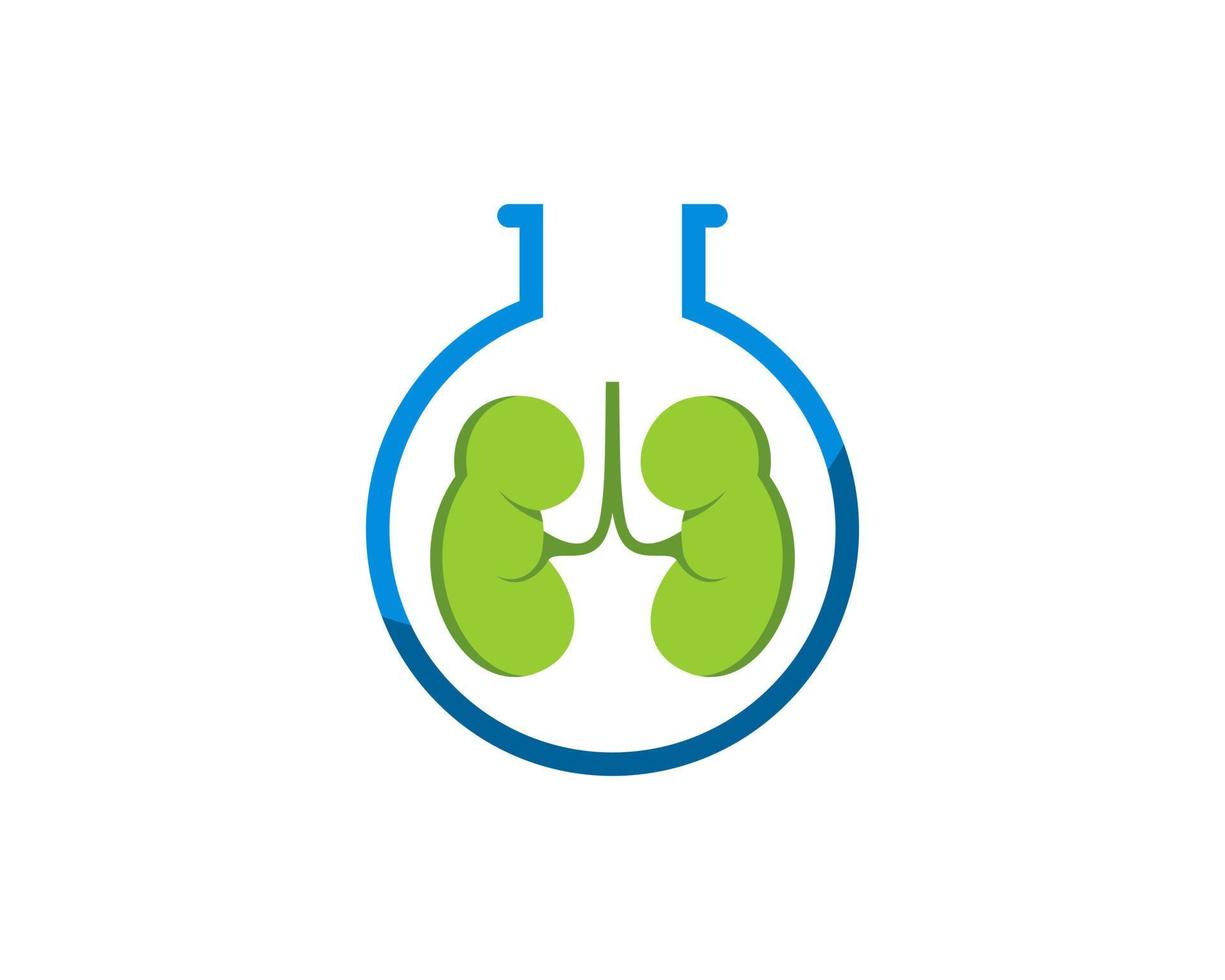 laboratório de garrafa simples com rim saudável dentro vetor
