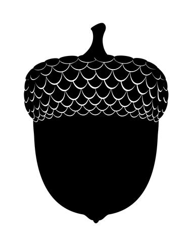 ilustração em vetor silhueta bolotas de carvalho preto contorno