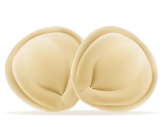 pelmeni bolinhos de massa com uma ilustração vetorial de enchimento vetor