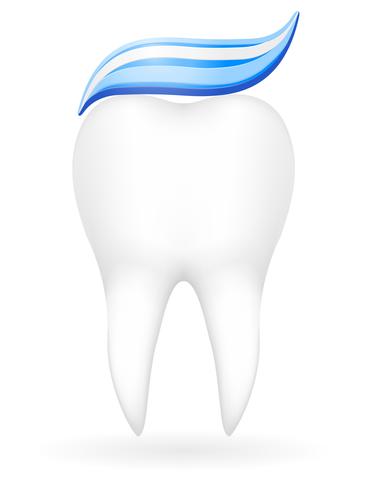 ilustração vetorial de dente vetor