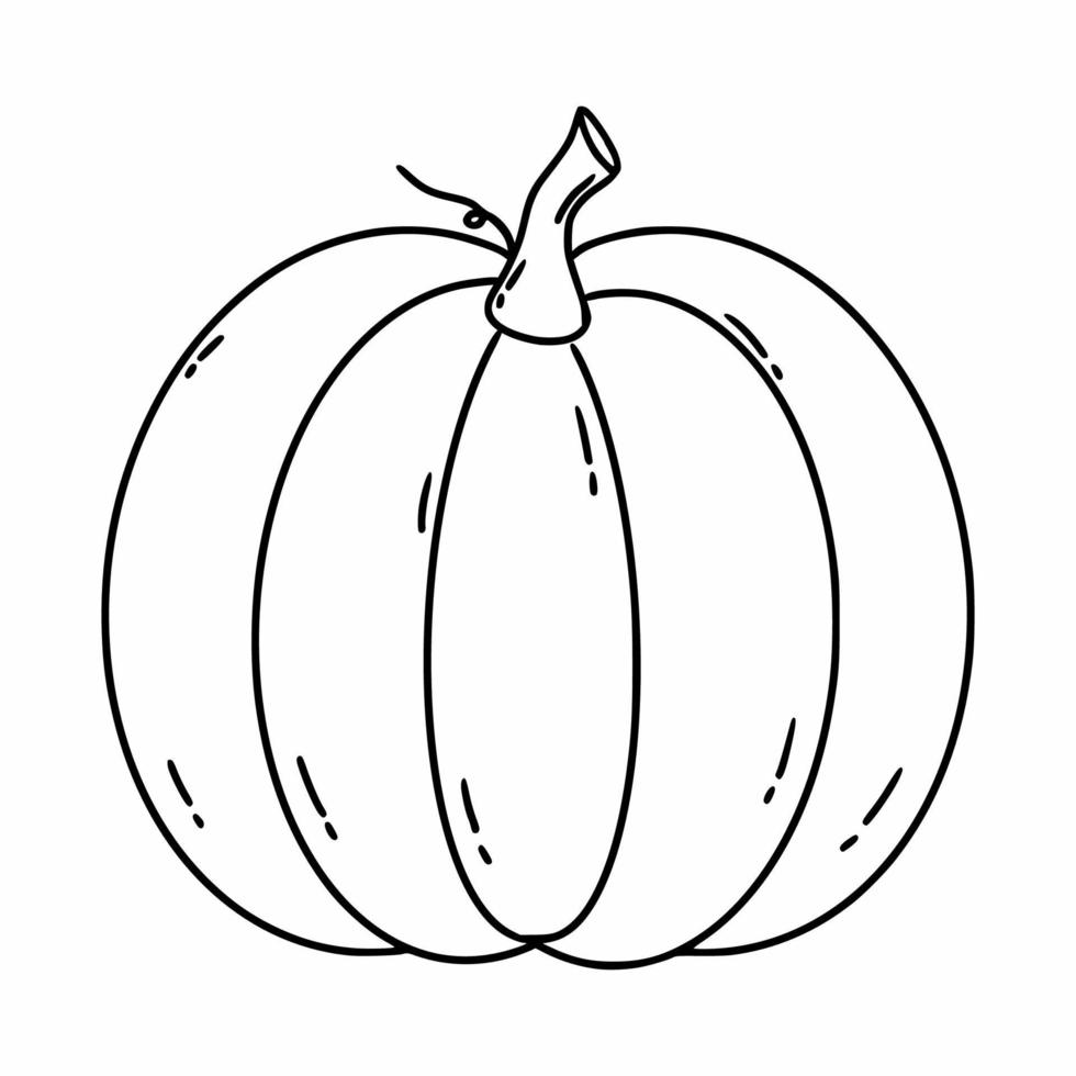 desenho de abóbora em estilo doodle. livro para colorir com vegetais para crianças. ilustração vetorial linear. vetor