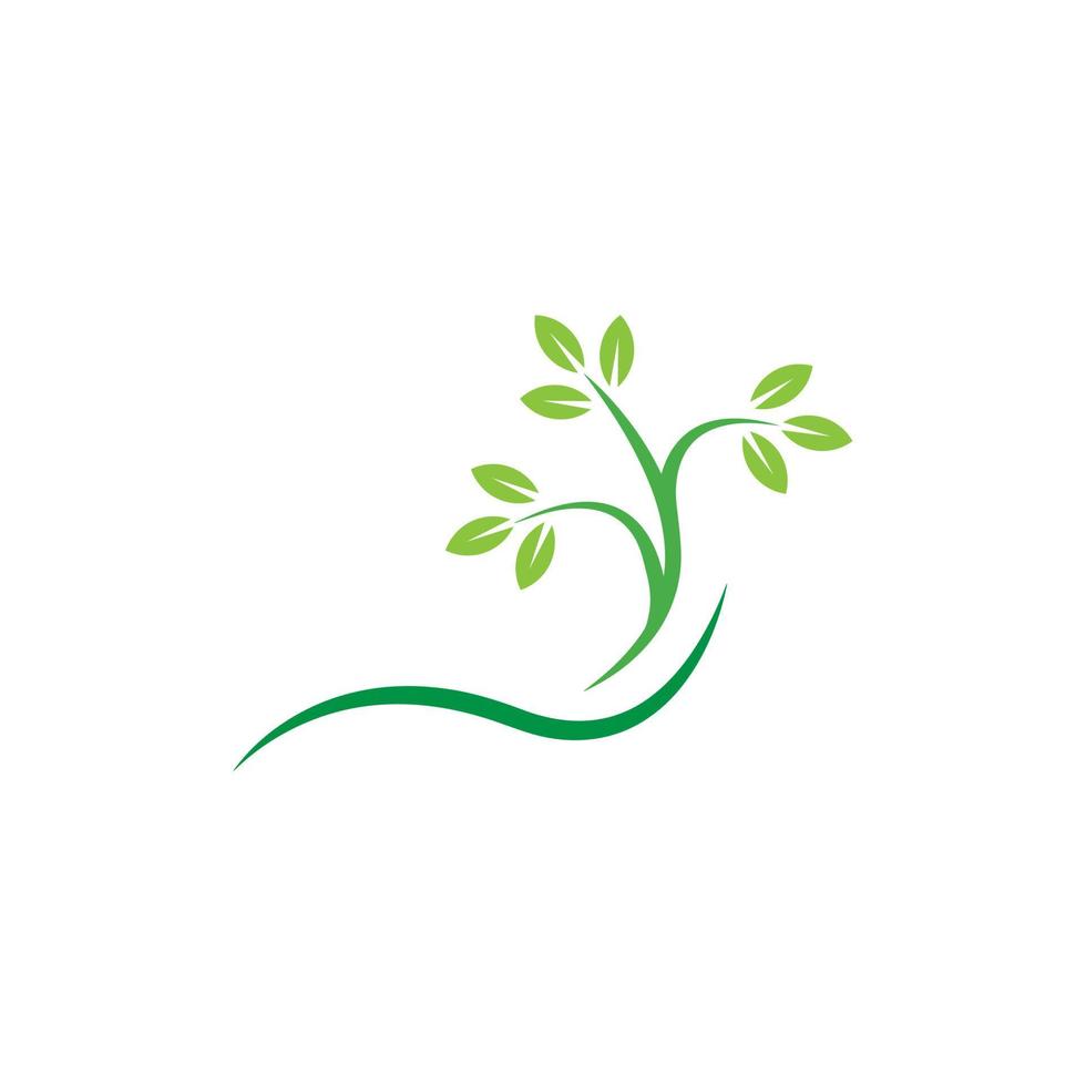 modelo de design de logotipo de folha de árvore vetor