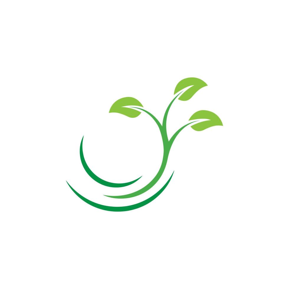 modelo de design de logotipo de folha de árvore vetor