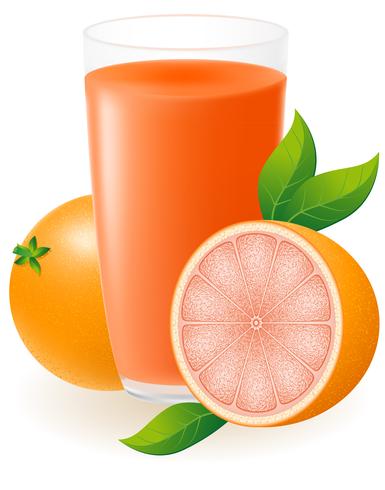 ilustração em vetor suco de toranja