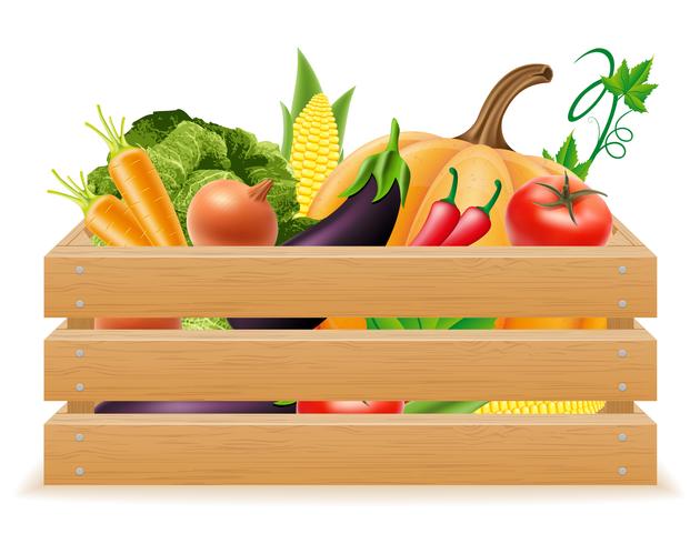 caixa de madeira com legumes frescos e saudáveis vector a ilustração