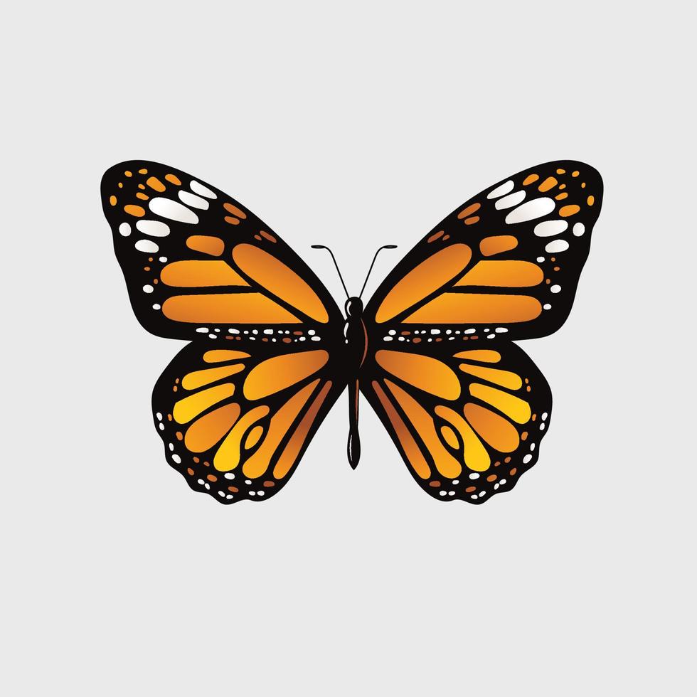 ilustração vetorial de borboleta monarca vetor