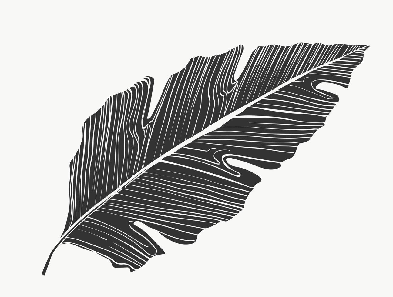 monstera deixa a arte de linha. linha de plantas modernas ou mínimas abstratas. perfeito para decoração de casa, como pôsteres. desenho de ilustrações vetoriais vetor