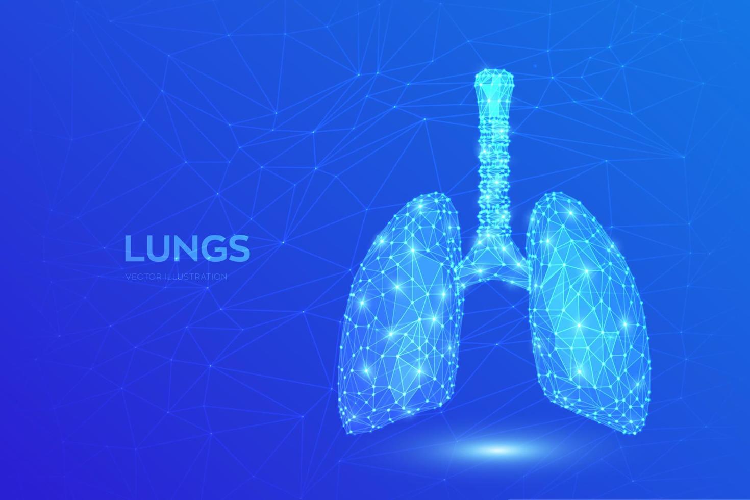 pulmões. anatomia dos pulmões do sistema respiratório humano poligonal baixo. tratamento de doenças pulmonares. remédio cura tuberculose, pneumonia, asma. conceito médico abstrato de cuidados de saúde. ilustração vetorial. vetor