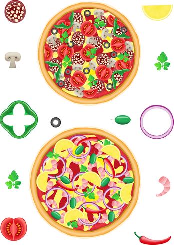 pizza e componentes ilustração vetorial vetor