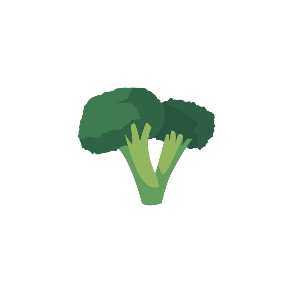 desenho de vetor vegetal de brócolis isolado