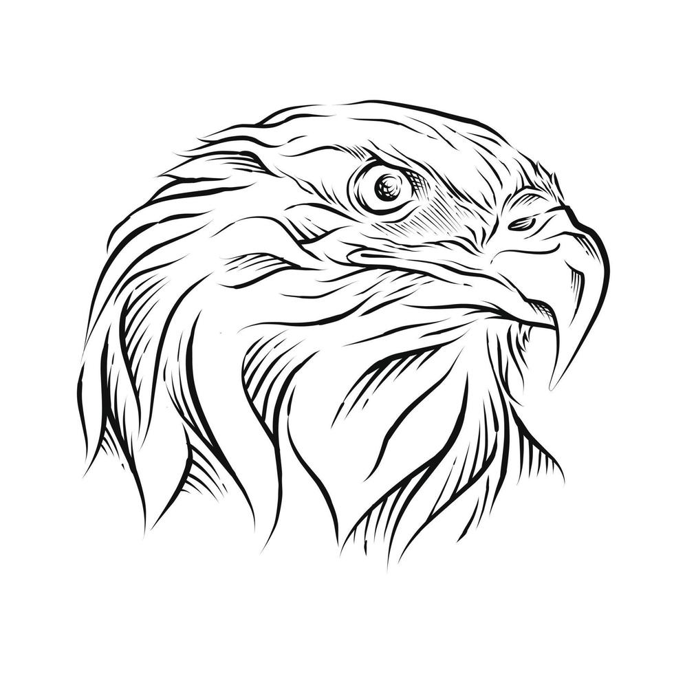ilustração desenhada à mão da cabeça da águia vetor