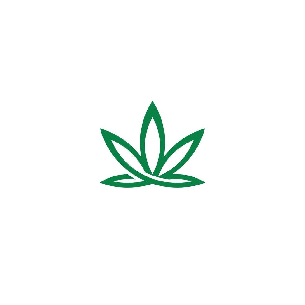 logotipo da folha de cannabis ou design do ícone vetor