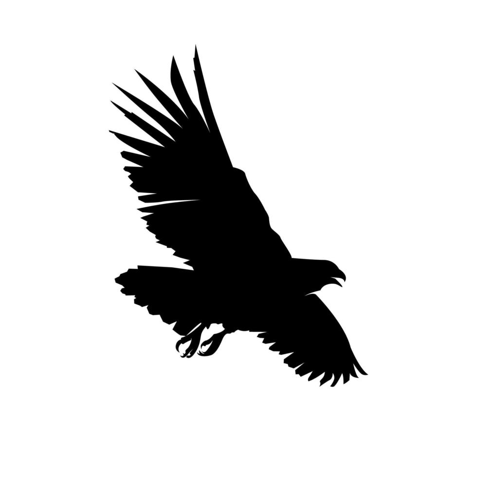 silhueta de águia voadora, silhueta de águia voadora vetor
