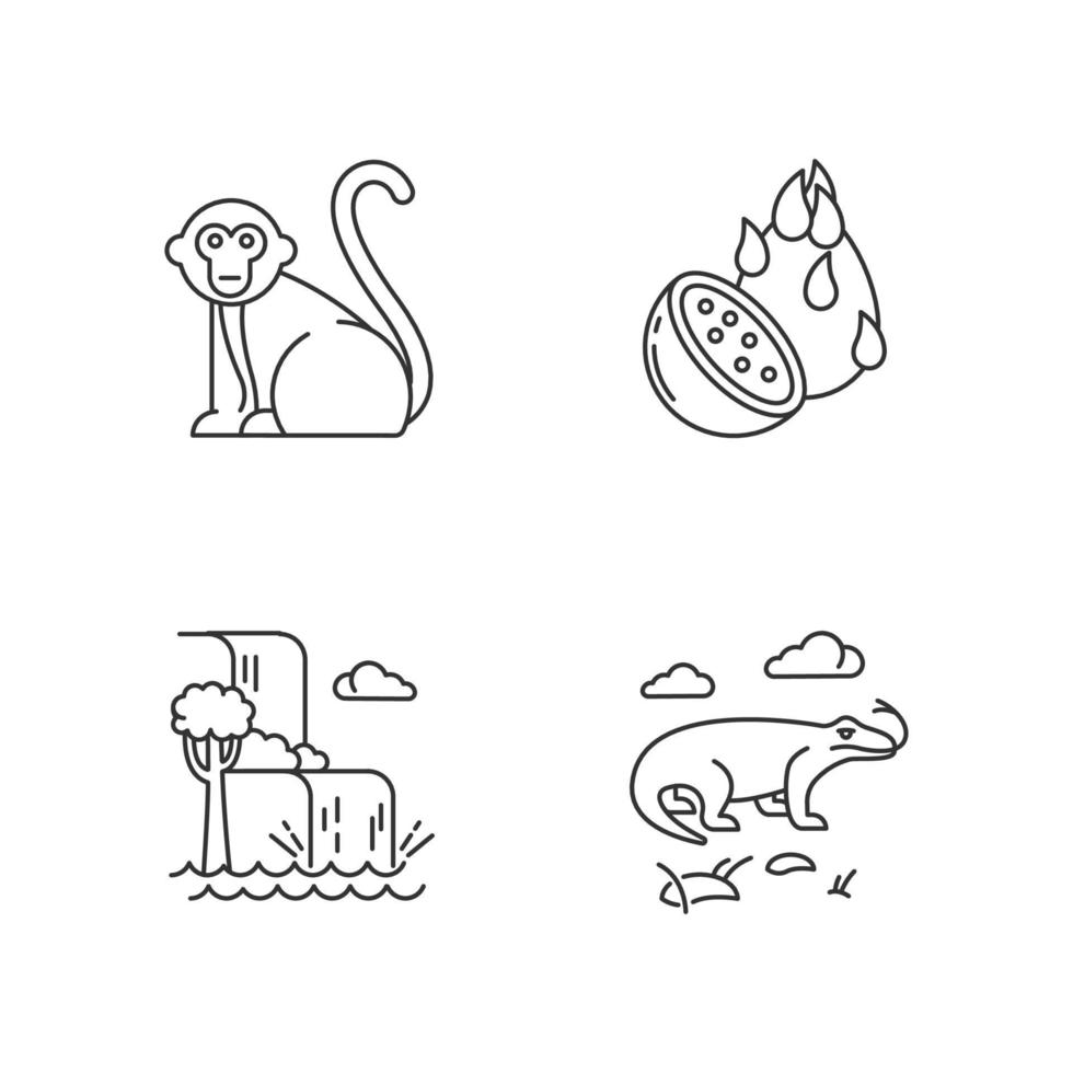 Conjunto de ícones lineares da Indonésia. animais do campo tropical. ilhas indonésias. explorando a natureza exótica. símbolos de contorno de linha fina. ilustrações isoladas de contorno vetorial. curso editável. pixel perfeito vetor