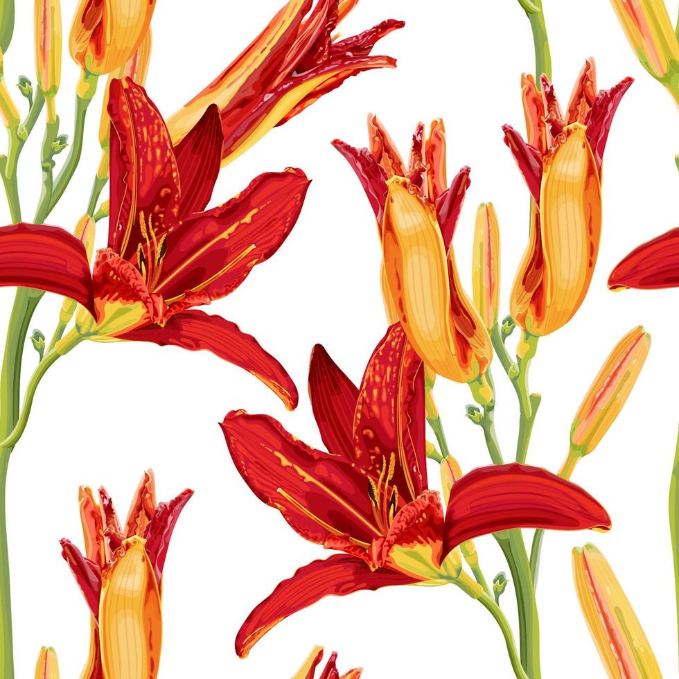 padrão sem emenda com flores de hemerocallis vermelhas e amarelas brilhantes. ilustração botânica com flores hemerocallis em um fundo branco. ilustração em vetor de estoque.