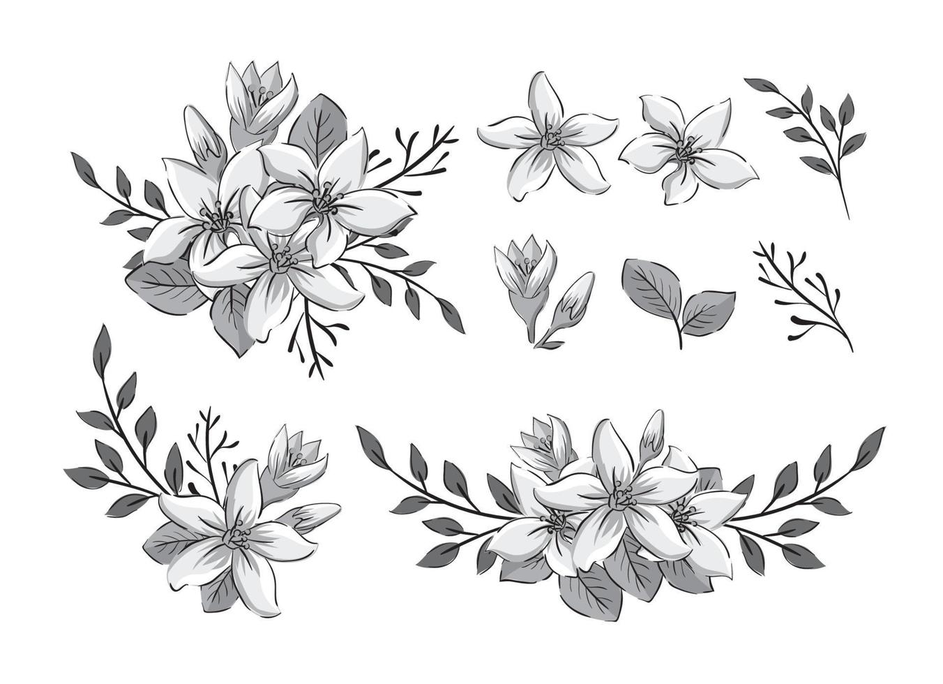coleção de flores de jasmim desenhada à mão vetor