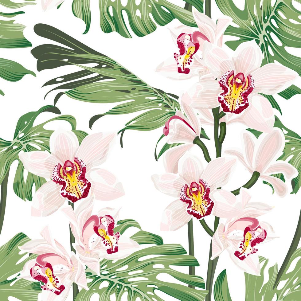 folhas de monstera com flores de orquídea cymbidium. sem costura padrão tropical com flores e folhas exóticas. ilustração em vetor de estoque em um fundo branco.