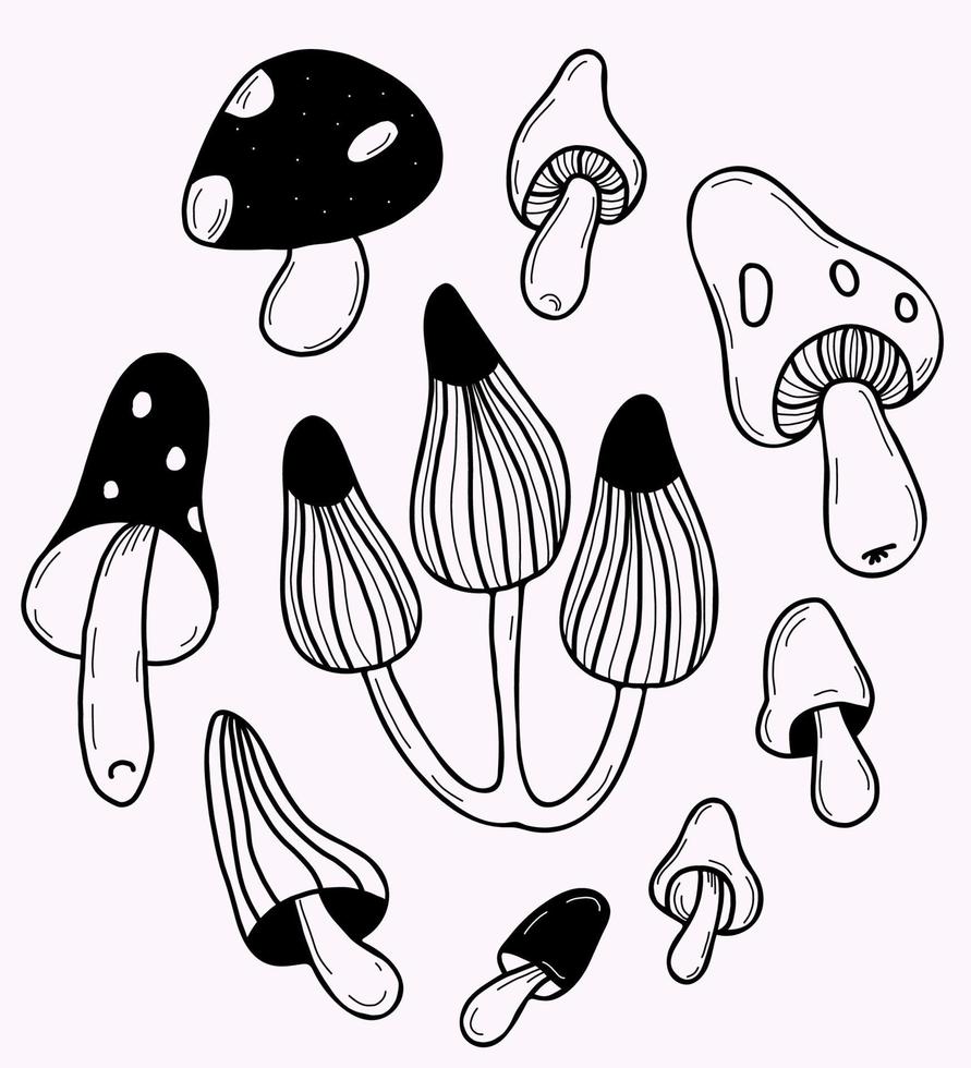 lindos cogumelos místicos. isolado conjunto mágico de cogumelos esotéricos de feitiçaria. ilustração em vetor preto e branco em estilo doodle feito à mão