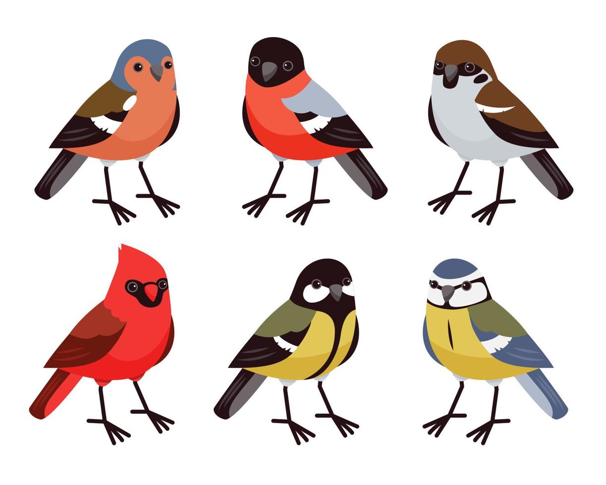 vetor definido com passarinhos bonitos no estilo cartoon. pássaros canoros, pássaros de inverno. cardeal vermelho, dom-fafe, chapim, tentilhão e pardal.