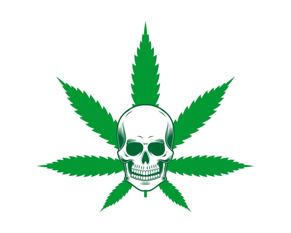 cabeça do crânio com folha de cannabis atrás vetor