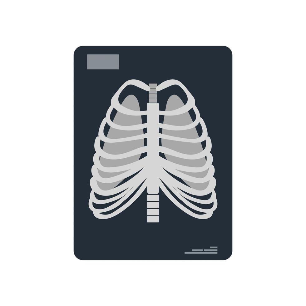 ilustração em vetor de um instantâneo dos pulmões. raio-x dos pulmões isolados em um fundo branco.