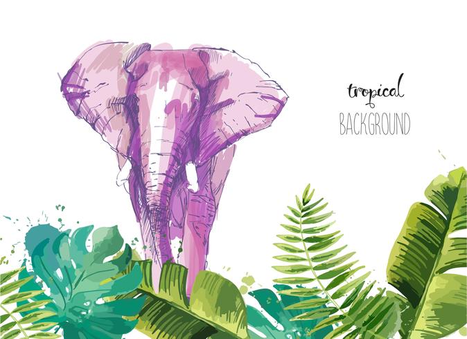 Fundo com folhas tropicais e elefante. vetor