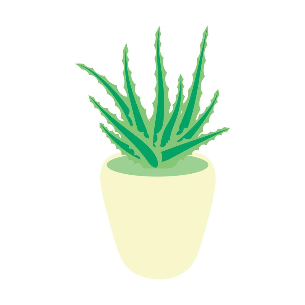 aloe vera bush em uma panela, planta suculenta de maconha, flor isolada no fundo branco. vetor