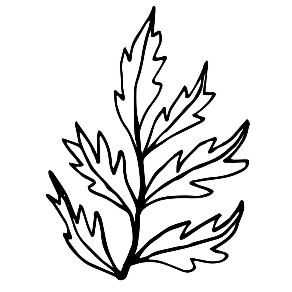 mão desenhada doodle arbusto isolado no fundo branco para livro de colorir. vetor