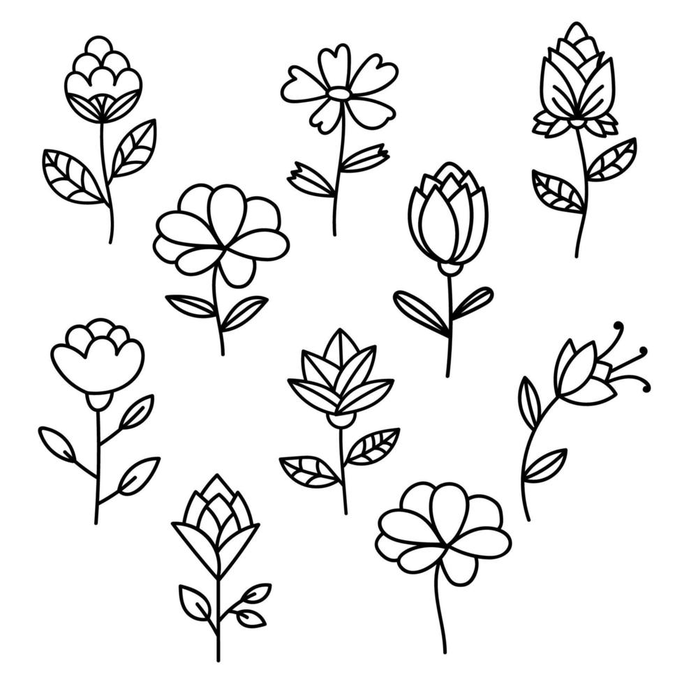 conjunto de flores. conjunto de flores de linha fina isolado no fundo branco. elementos florais. vetor