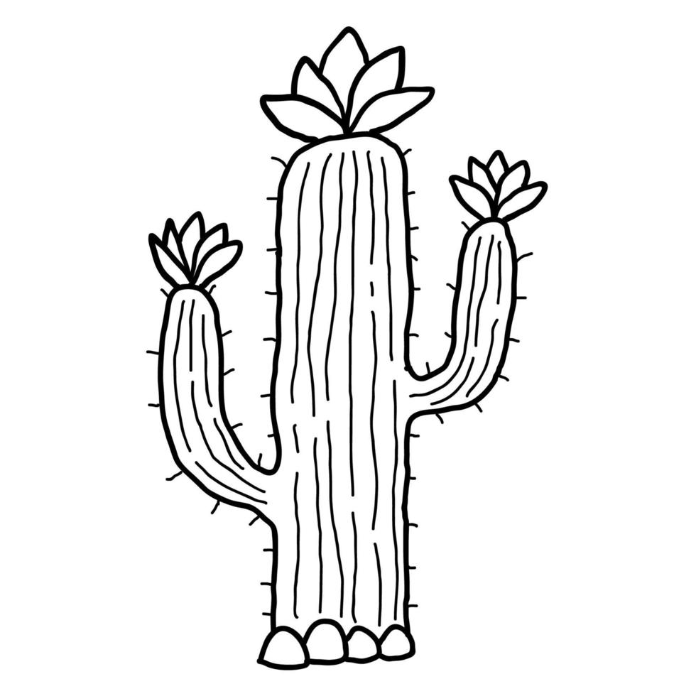 bonito dos desenhos animados doodle cacto linear com flores no deserto, isolado no fundo branco. vetor