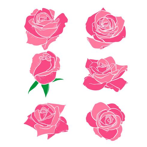 Flores rosas, botões e folhas verdes. Conjunto de rosas coleção. ícone rosa e símbolo vetor