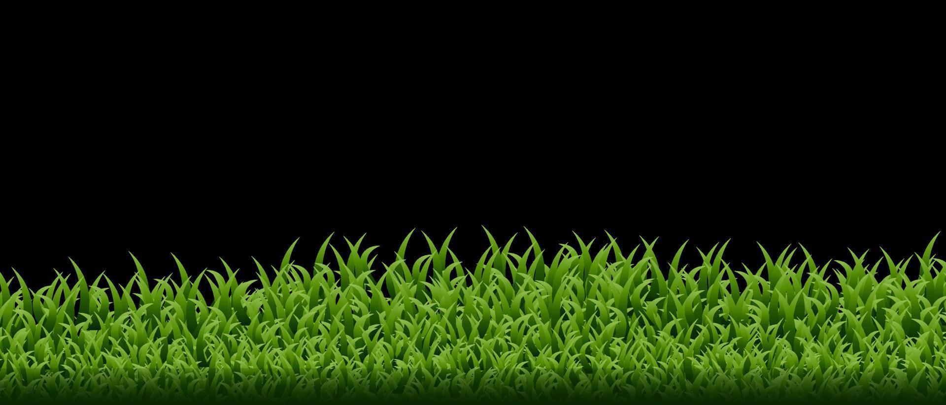 conjunto de borda de grama verde vetor