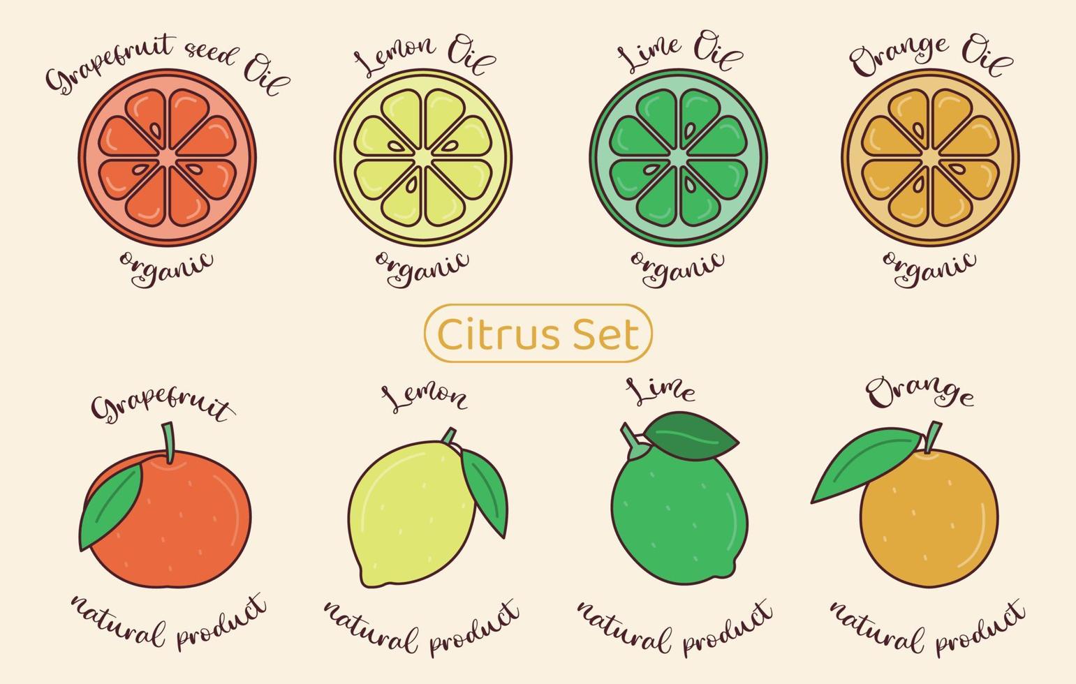 conjunto de ícones cítricos coloridos. toranja, limão, limão, laranja. frutas inteiras e fatiadas. óleo cítrico orgânico para cosméticos naturais e alimentos. doodle ilustração vetorial plana vetor