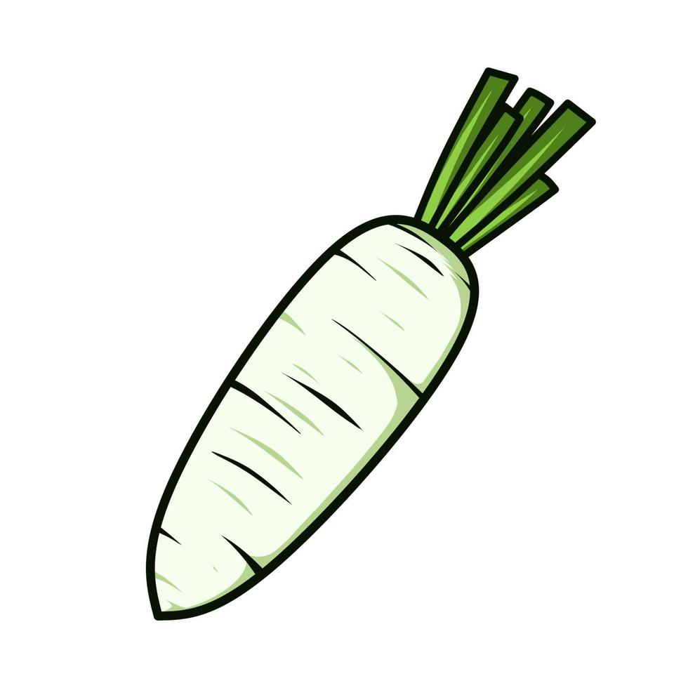 vegetal de rabanete branco, desenho vetorial vetor