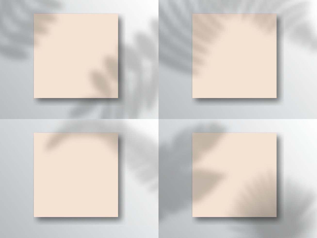 maquete de papel quadrado com sombras realistas sobrepõe folha schefflera. sombra vetorial de uma planta em um fundo rosa em estilo moderno e minimalista. vetor