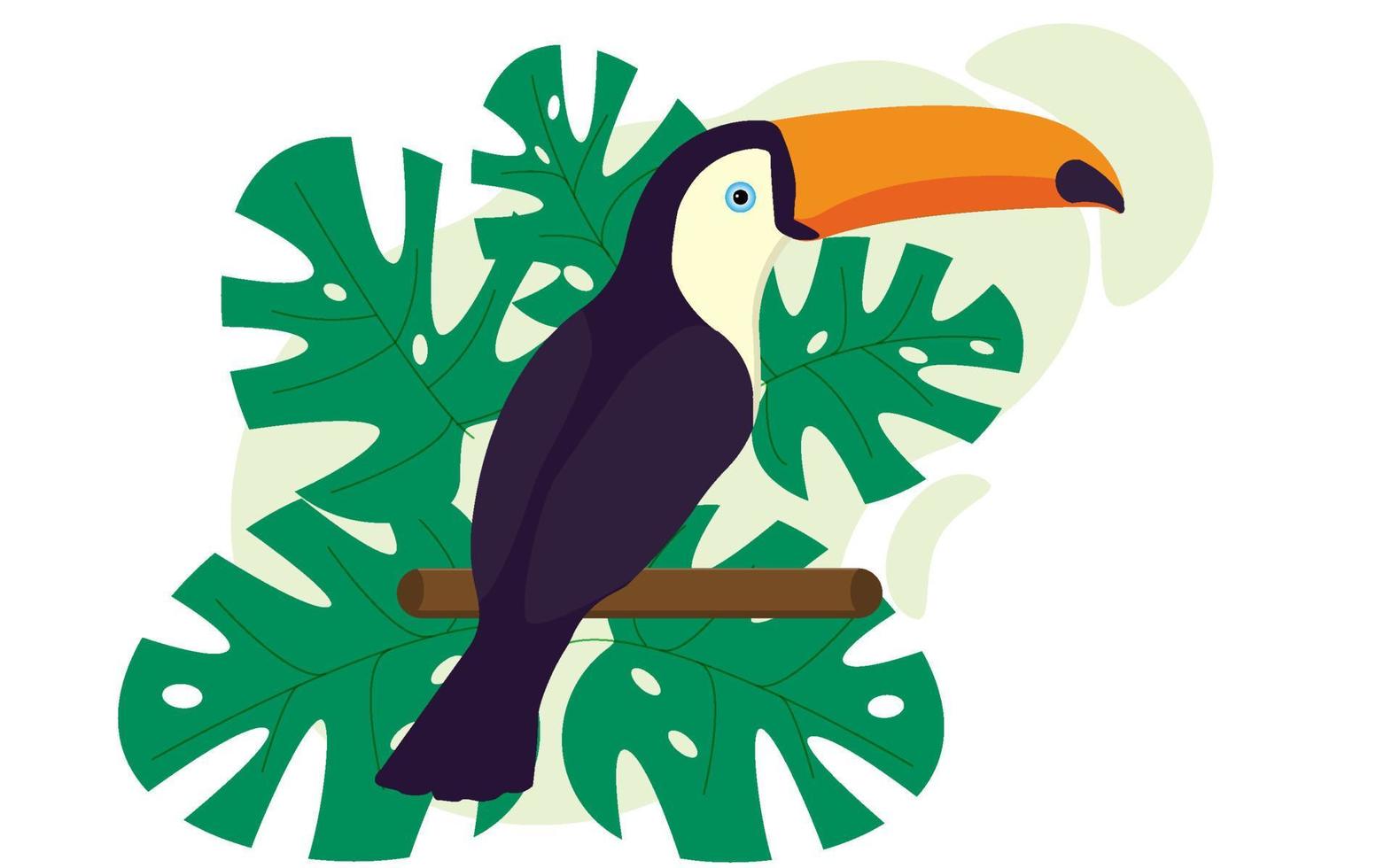 tucano, pássaros exóticos, monstera, ave do paraíso. ilustração vetorial vetor