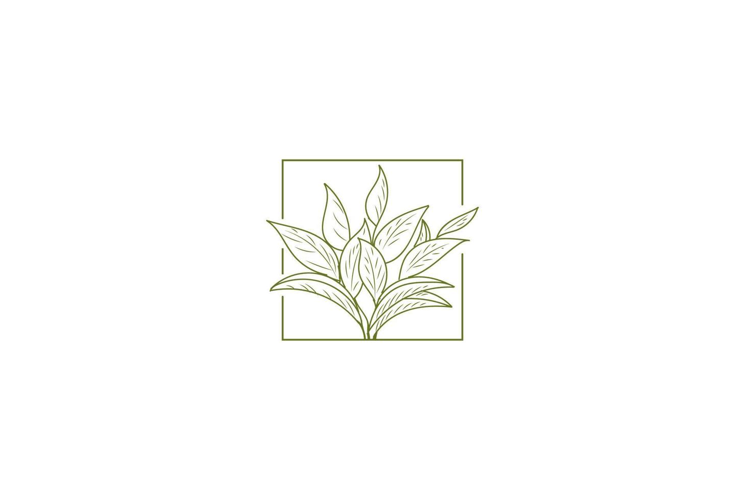folha de chá verde elegante minimalista vintage deixa vetor de design de logotipo